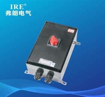 BLK8050(8060)系列防爆防腐电磁起动器（IIC tD）