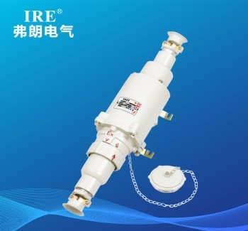 WX-BCX53系列防爆插销(IIB、IIC、tD)