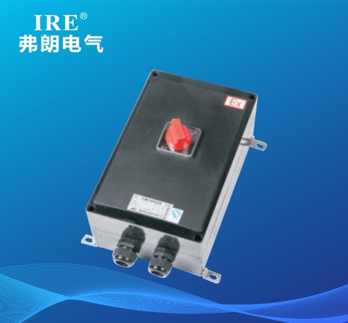 BLK8050(8060)系列防爆防腐电磁起动器（IIC tD）