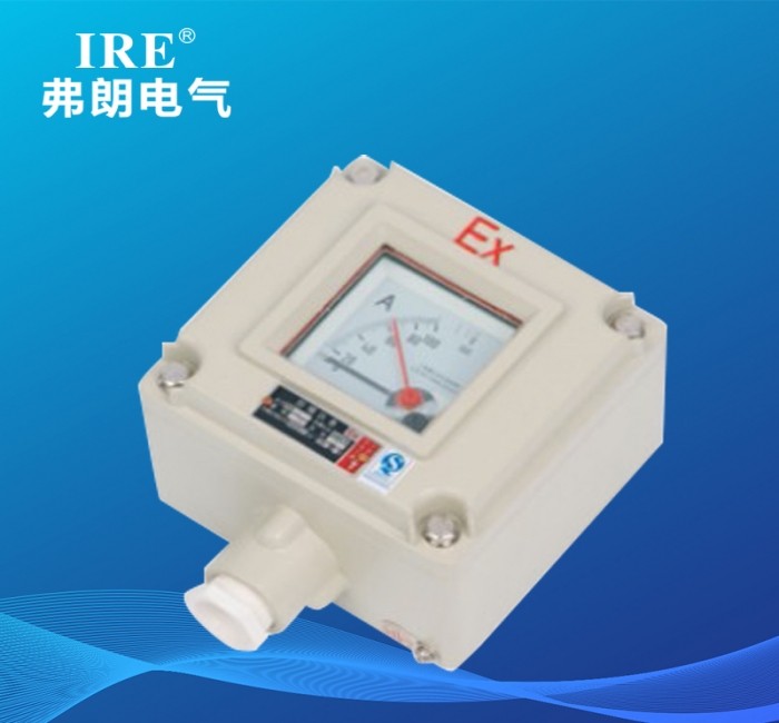 B□b系列防爆仪表（IIB、IIC、tD）